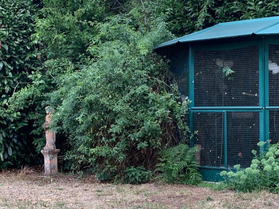 Gambais Maisonnette En Clairiere De Foret מראה חיצוני תמונה