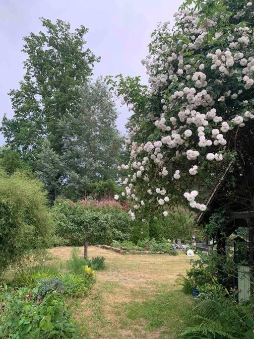Gambais Maisonnette En Clairiere De Foret מראה חיצוני תמונה