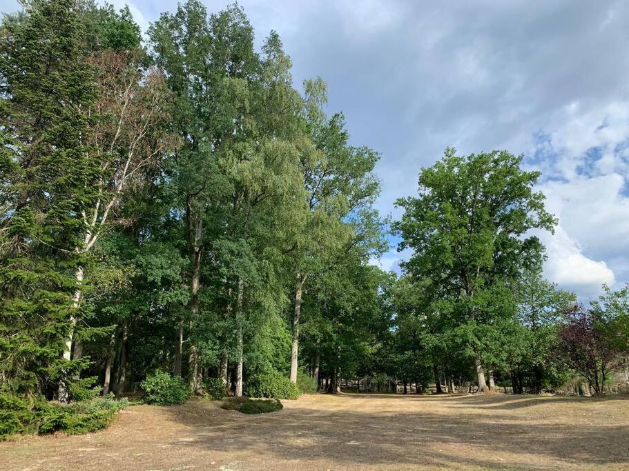 Gambais Maisonnette En Clairiere De Foret מראה חיצוני תמונה